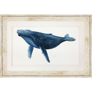 KS- BLUE WHALE 1