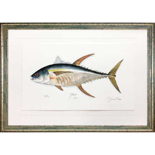 CL- YELLOWFIN TUNA