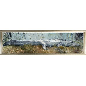 CL- SUNNING GATOR ON CANVAS