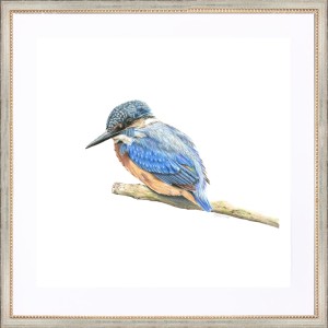 CD- KINGFISHER 